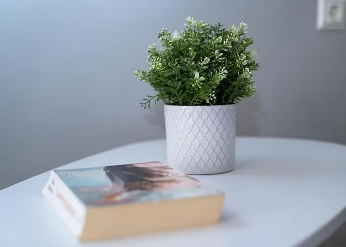 乡村民宿 Sea & View