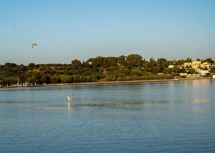 乡村民宿 Sea & View *